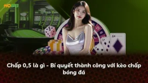 Chấp 0,5 là gì – Bí quyết thành công với kèo chấp bóng đá