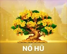 nohu ho88